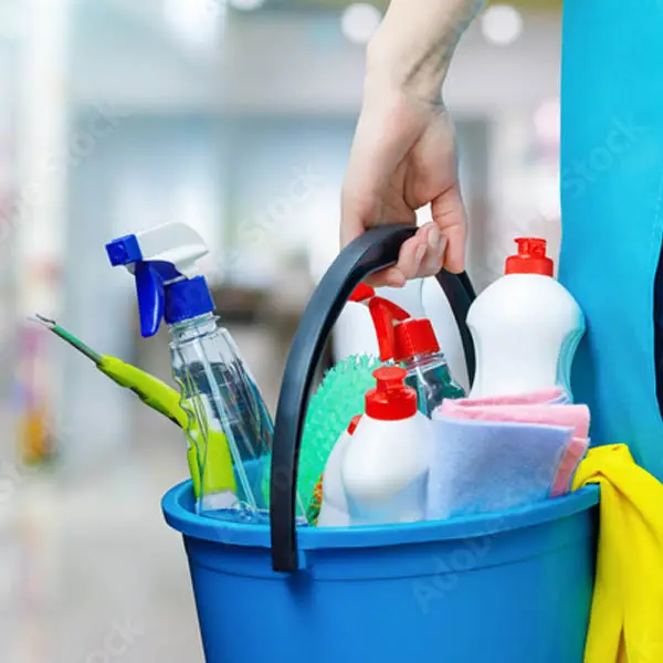 Domestic Clean